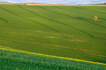 Geometrie in Val d'Orcia